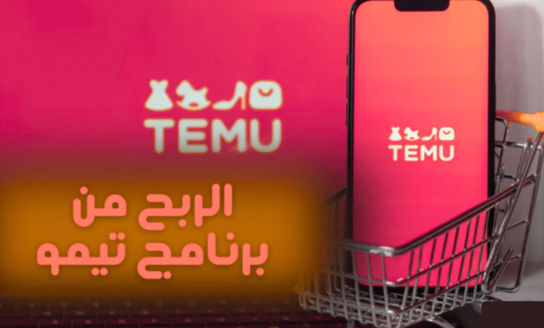 أفضل طريقة للربح من موقع Temu (2)